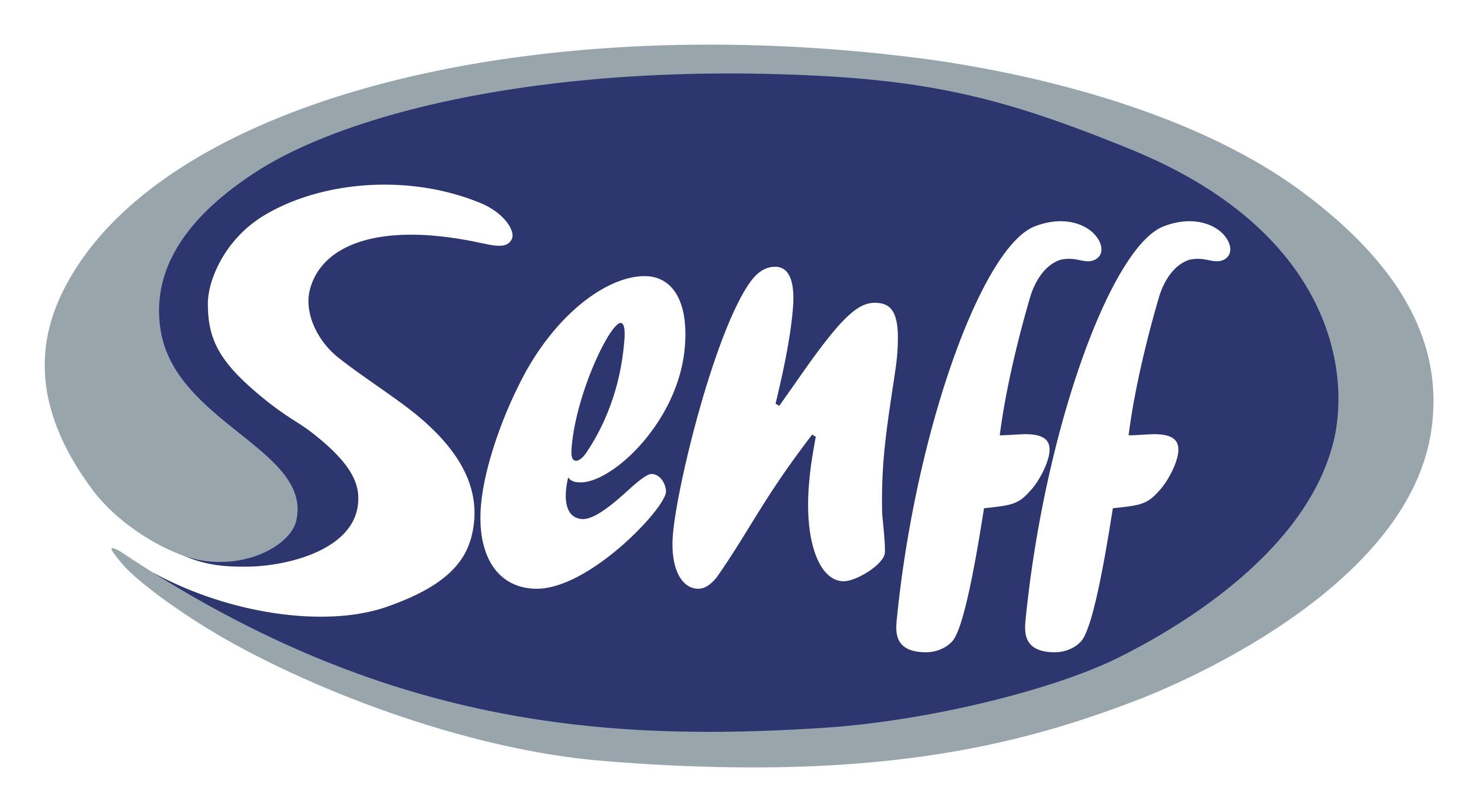 Imagem do logotipo do BANCO SENFF S.A. 