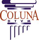 Imagem do logotipo do COLUNA S/A DISTRIBUIDORA DE TITULOS E VALORES MOBILIÁRIOS 